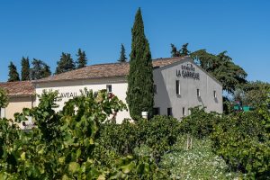 Caveau de réception du Domaine de la Garrigue, avec vue sur les vignes en premier plan