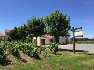 Caveau du Domaine Lieubeau en Muscadet, avec les vignes au premier plan
