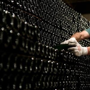 Caveau de vieillissement sur lattes des Champagne Piot Sévillano