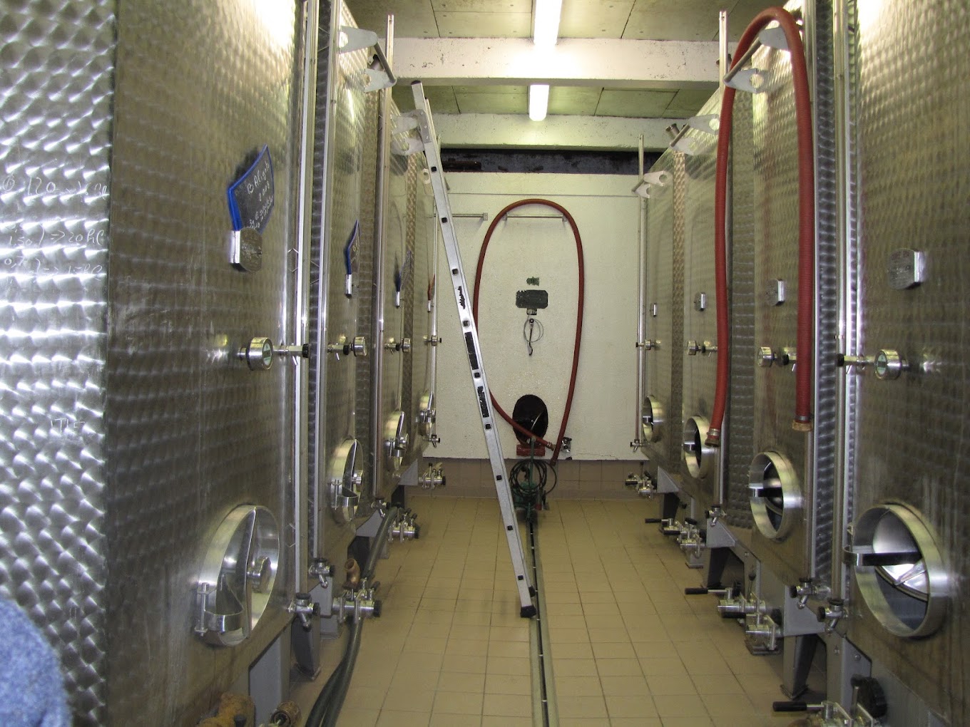 Cuvier avec les cuves inox du Domaine Grivot Goisot