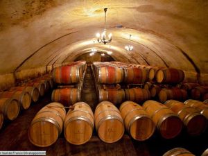 Cave de vieillissement avec les fûts de chêne du Château Etang des Colombes