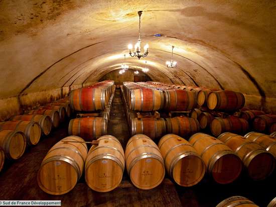 Cave de vieillissement avec les fûts de chêne du Château Etang des Colombes