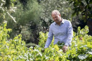 Portrait Christophe GUALCO, vigneron Propriétaire du Château Etang des Colombes, dans ses vignes