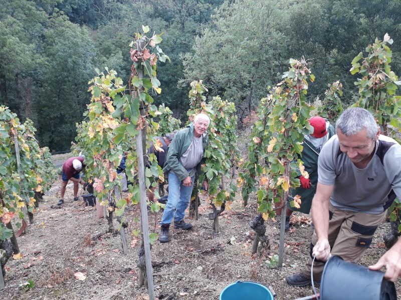 Portrait de l'équipe de vendangeurs du Domaine Richard, dans les coteaux de l'appellation viticole Saint-Joseph