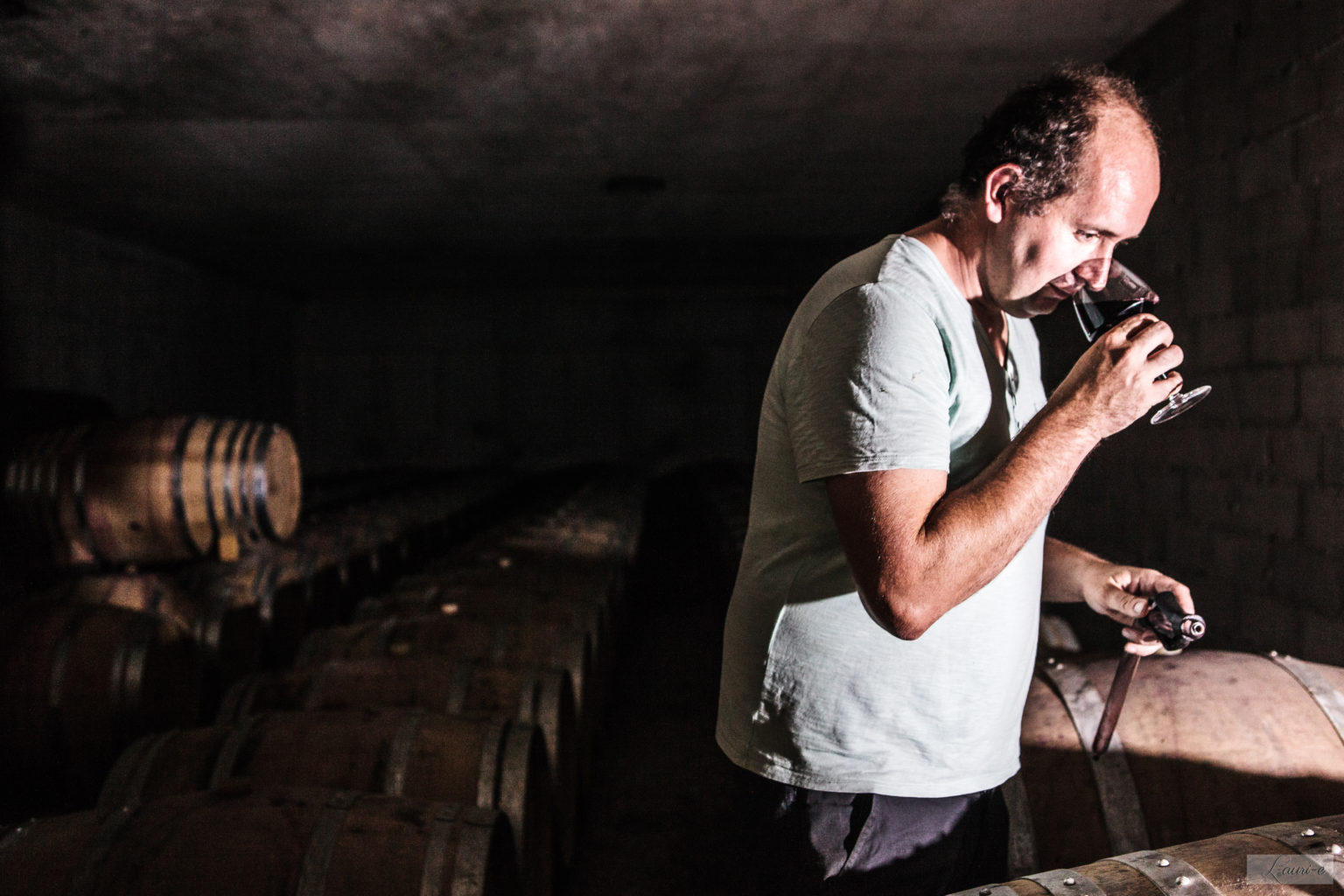 vigneron