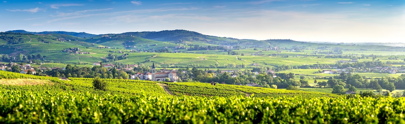 Vue panoramique du paysage et des vignobles du Beaujolais, Fleurie Chiroubles Chénas Villié-Morgon, France