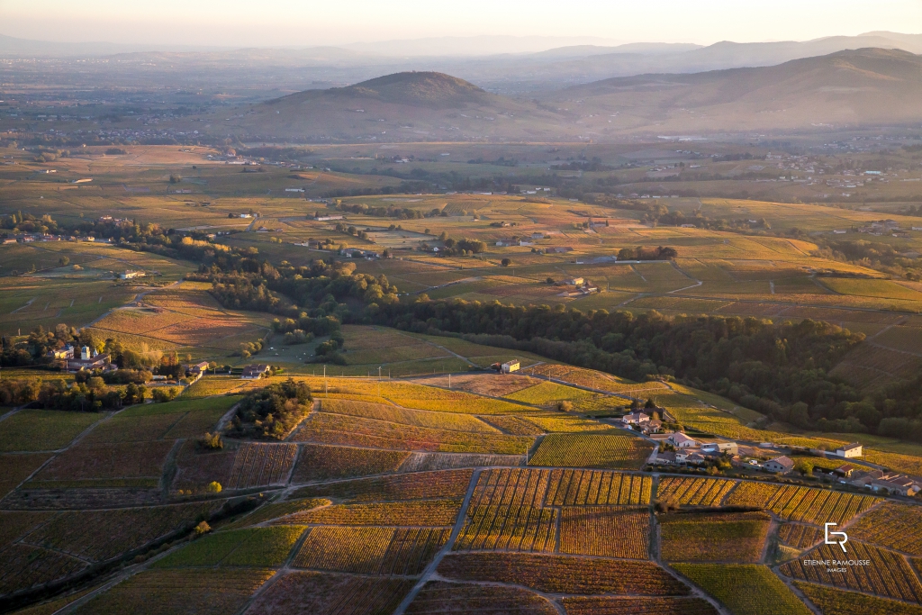 Vue aérienne du vignoble du Beaujolais au soleil couchant