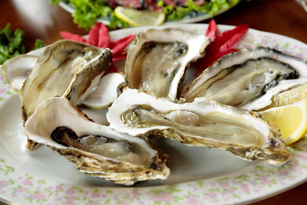 cooking, shellfish, oyster, oyster, oyster, oyster, oyster, oyster